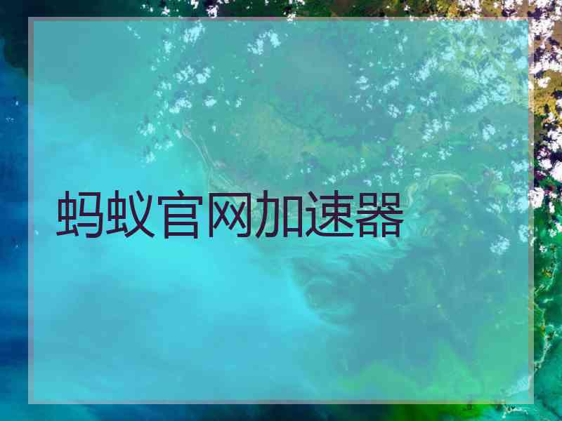 蚂蚁官网加速器