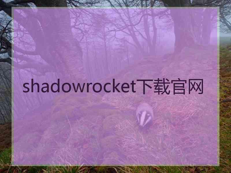 shadowrocket下载官网