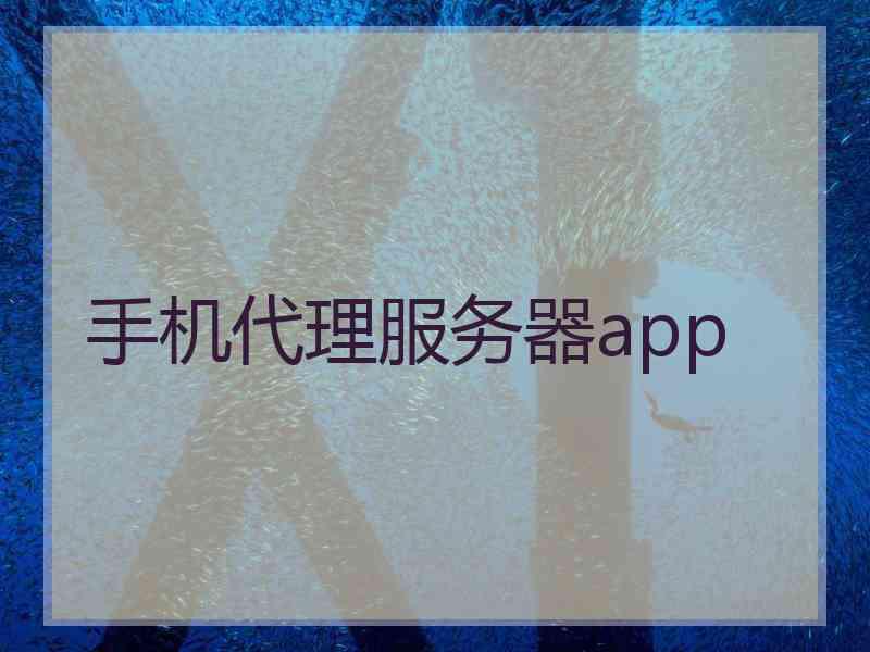 手机代理服务器app