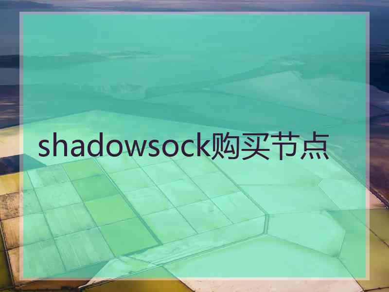 shadowsock购买节点