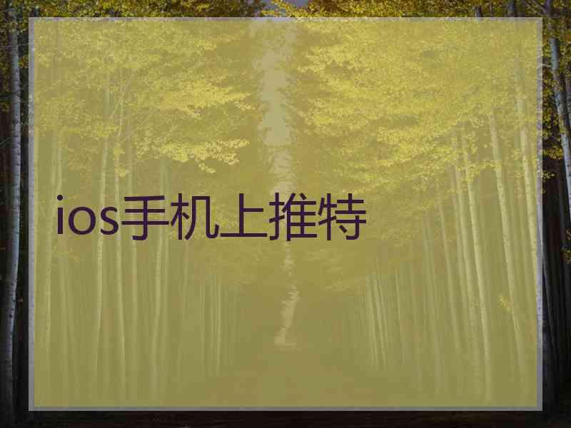 ios手机上推特