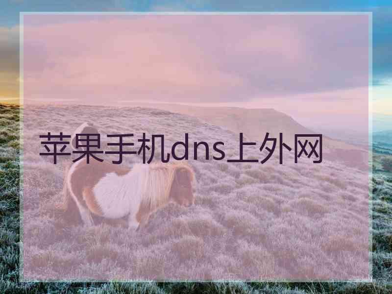 苹果手机dns上外网