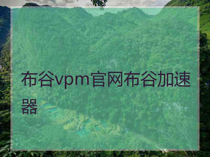 布谷vpm官网布谷加速器