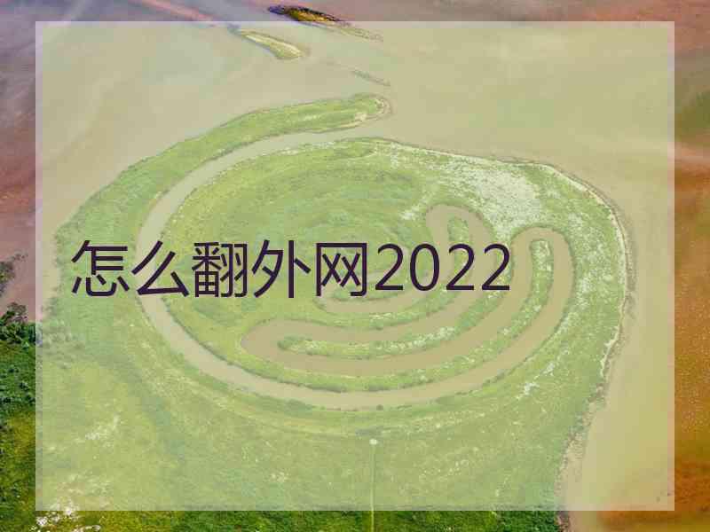 怎么翻外网2022