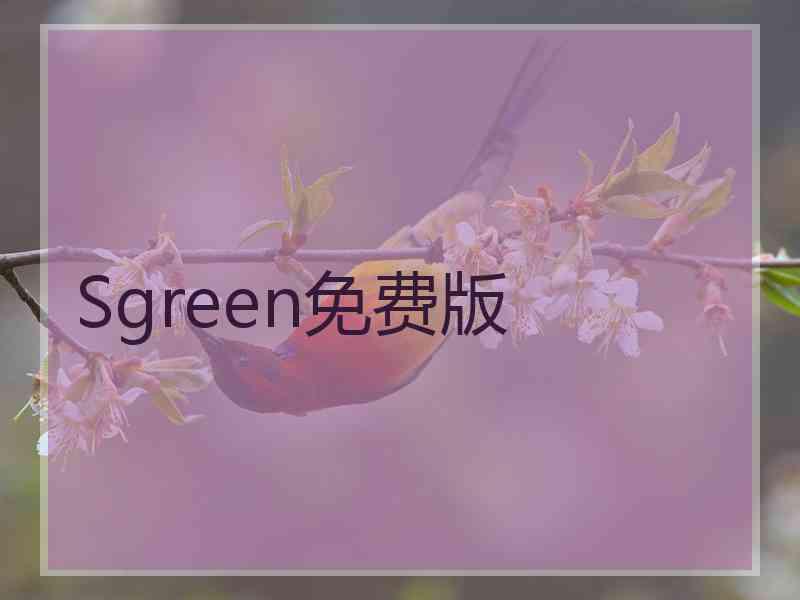 Sgreen免费版