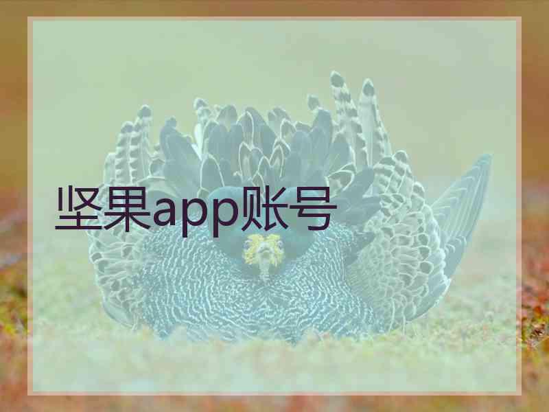 坚果app账号