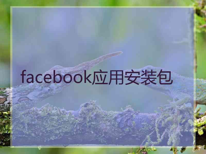 facebook应用安装包