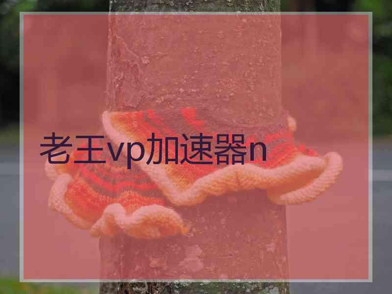 老王vp加速器n