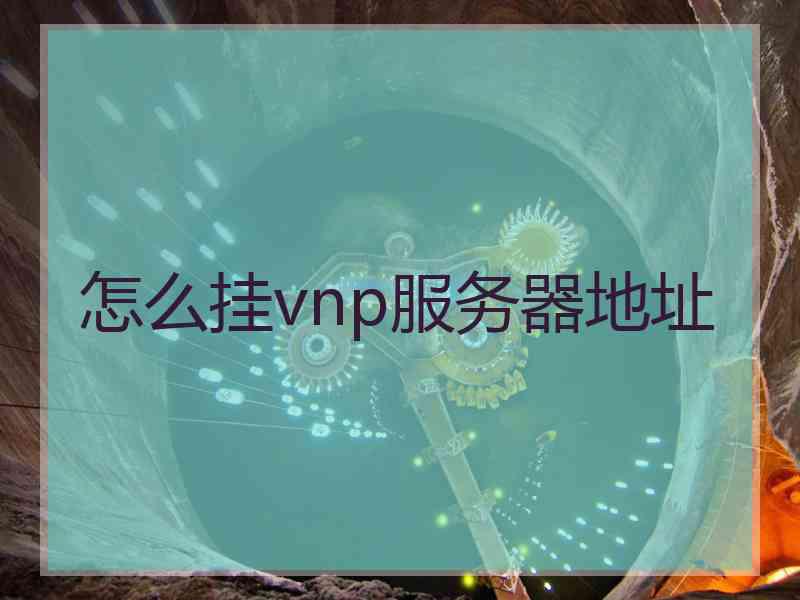 怎么挂vnp服务器地址