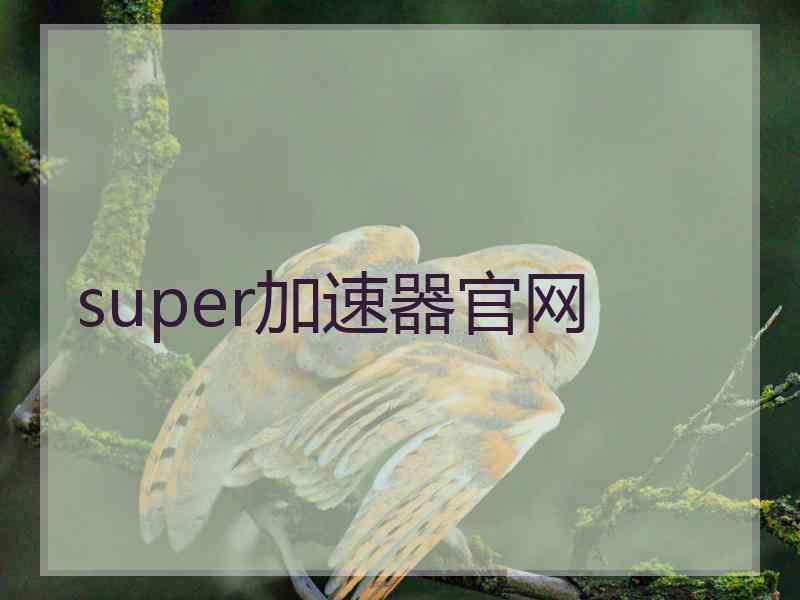 super加速器官网