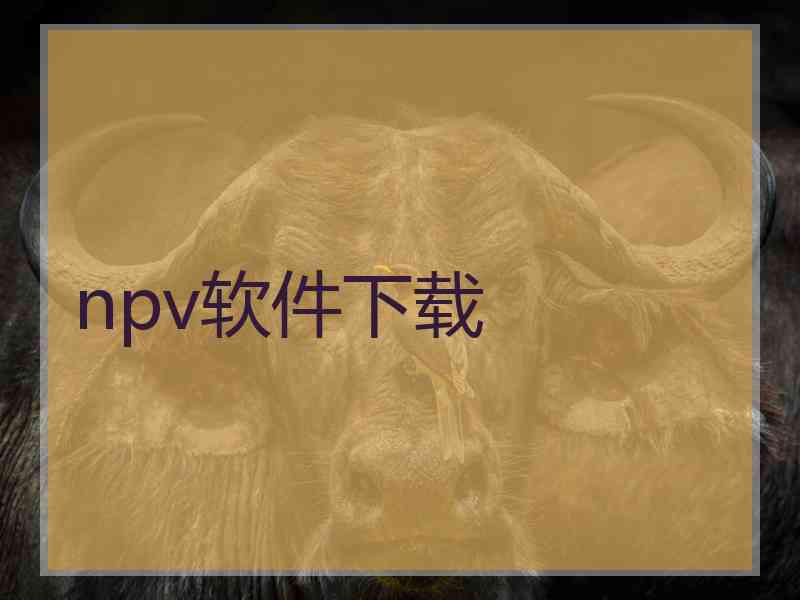 npv软件下载