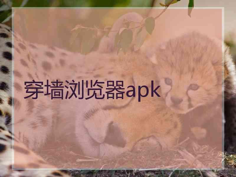 穿墙浏览器apk