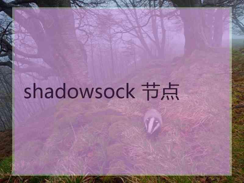 shadowsock 节点