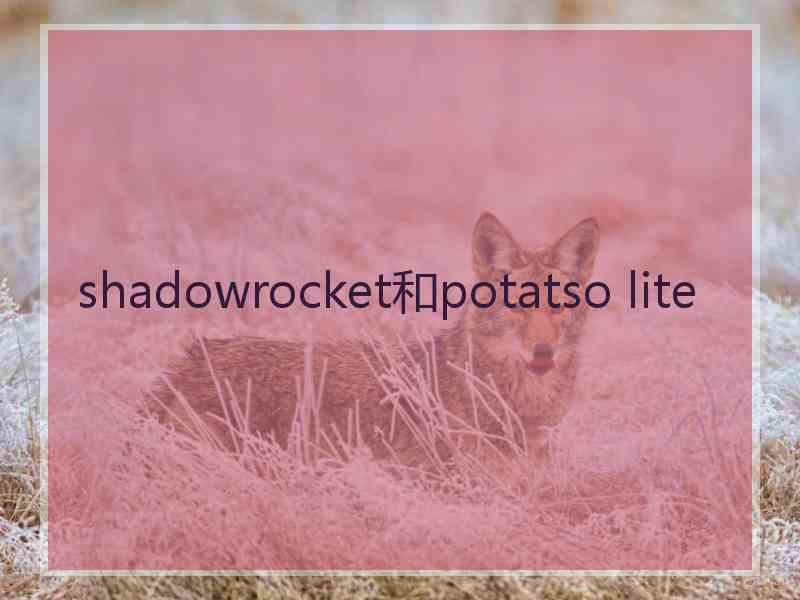 shadowrocket和potatso lite