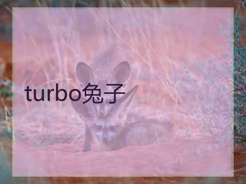 turbo兔子