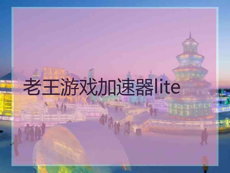 老王游戏加速器lite