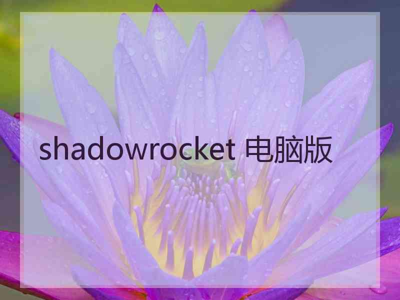 shadowrocket 电脑版