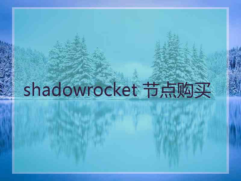 shadowrocket 节点购买