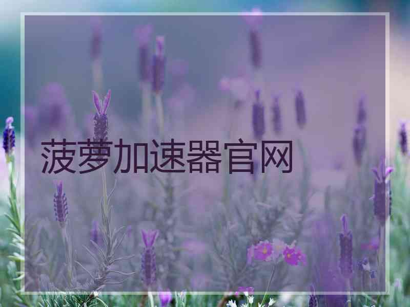 菠萝加速器官网