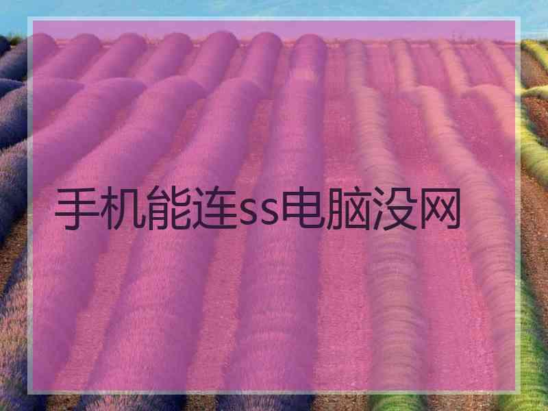 手机能连ss电脑没网