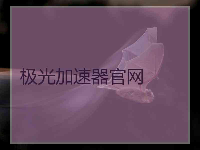 极光加速器官网