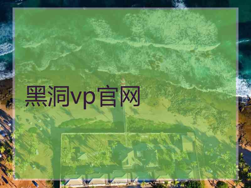 黑洞vp官网