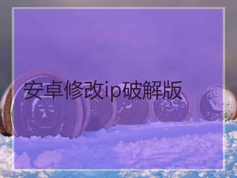 安卓修改ip破解版