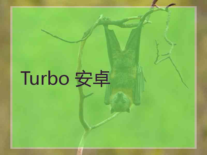 Turbo 安卓