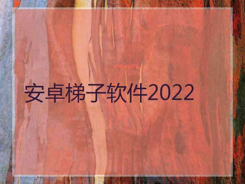 安卓梯子软件2022