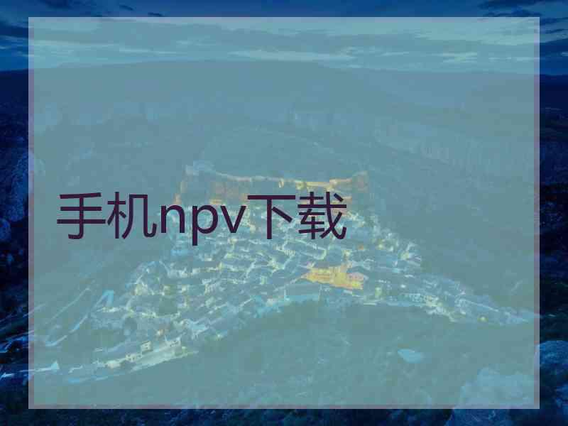 手机npv下载