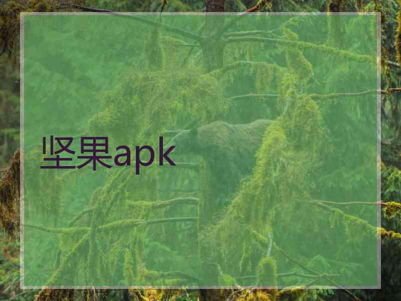 坚果apk