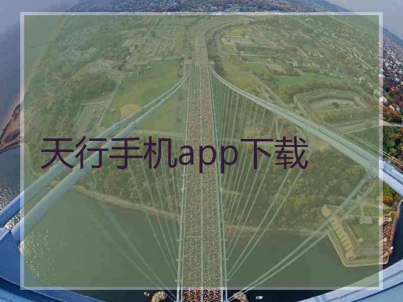 天行手机app下载