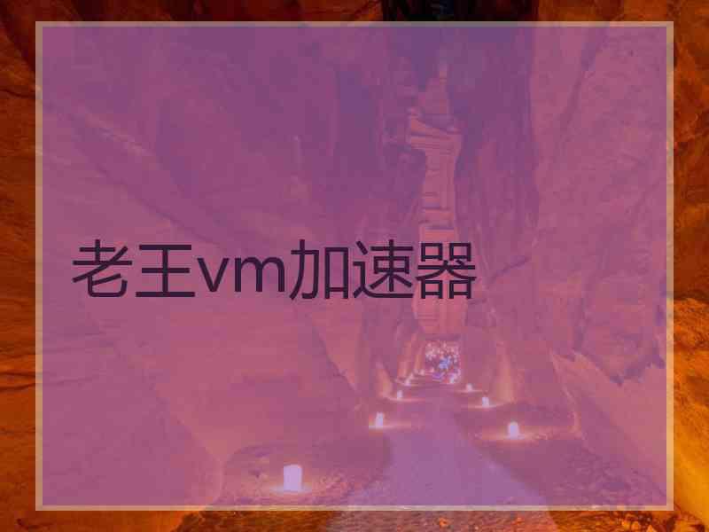 老王vm加速器