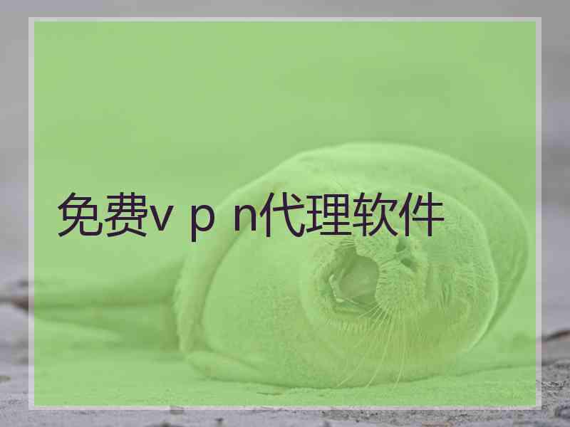 免费v p n代理软件