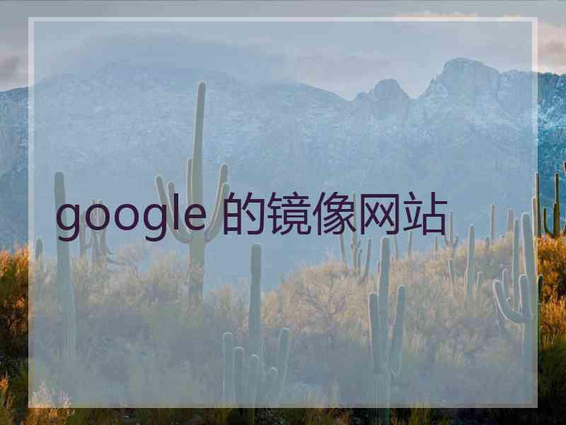 google 的镜像网站