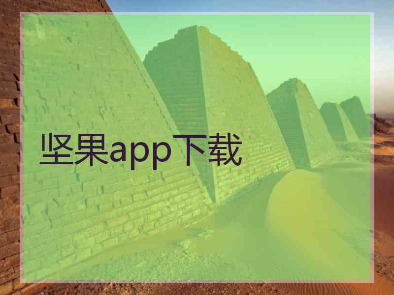 坚果app下载