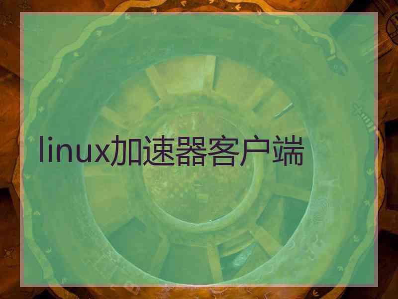 linux加速器客户端