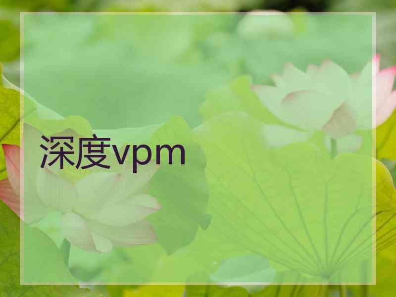 深度vpm