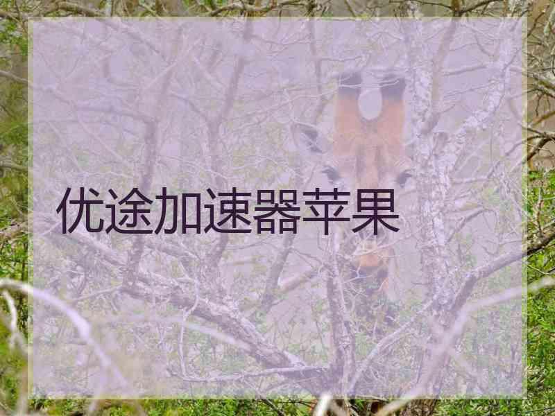 优途加速器苹果