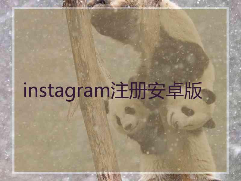 instagram注册安卓版