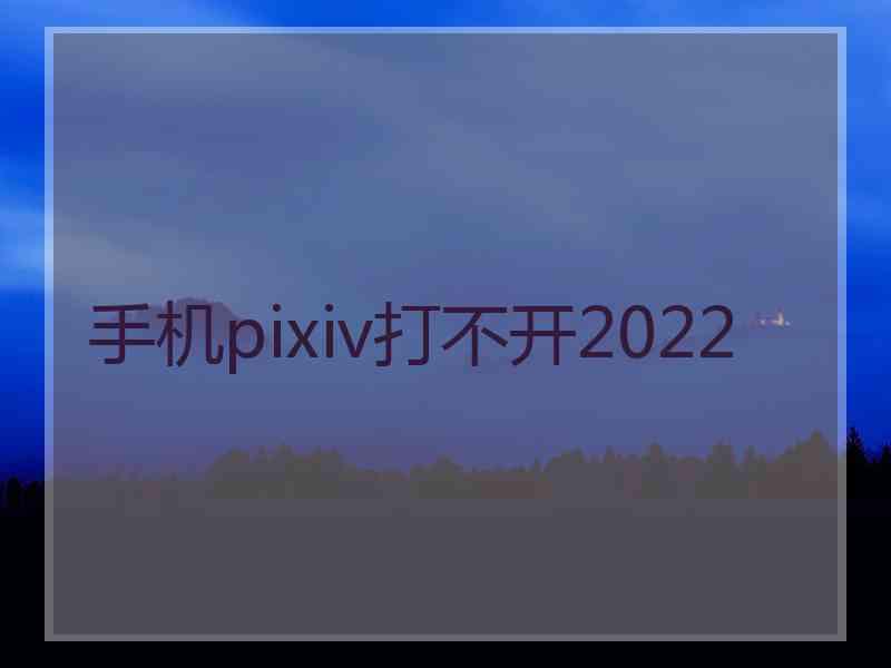 手机pixiv打不开2022