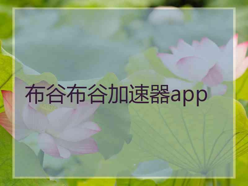 布谷布谷加速器app