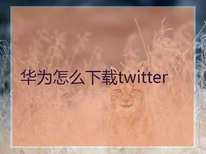 华为怎么下载twitter