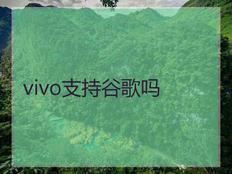 vivo支持谷歌吗