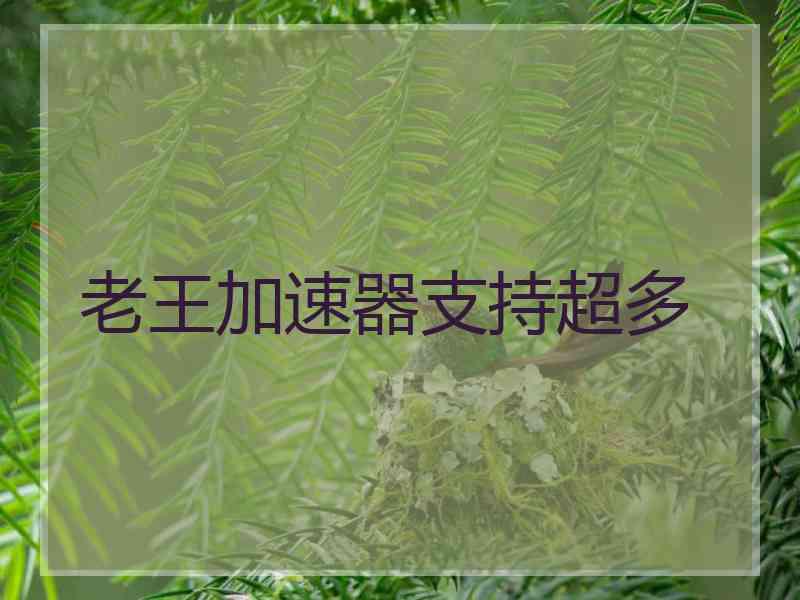 老王加速器支持超多