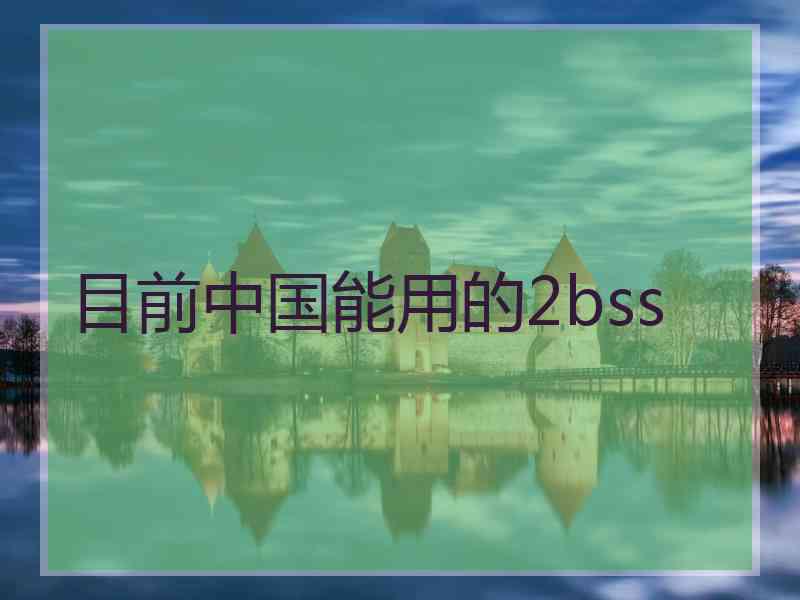 目前中国能用的2bss