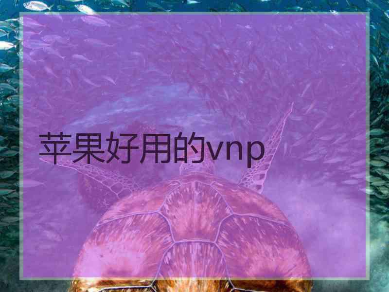 苹果好用的vnp