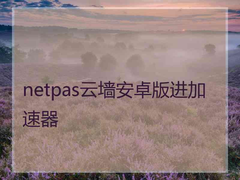 netpas云墙安卓版进加速器