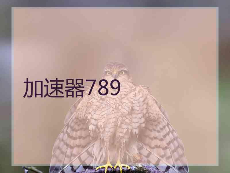 加速器789