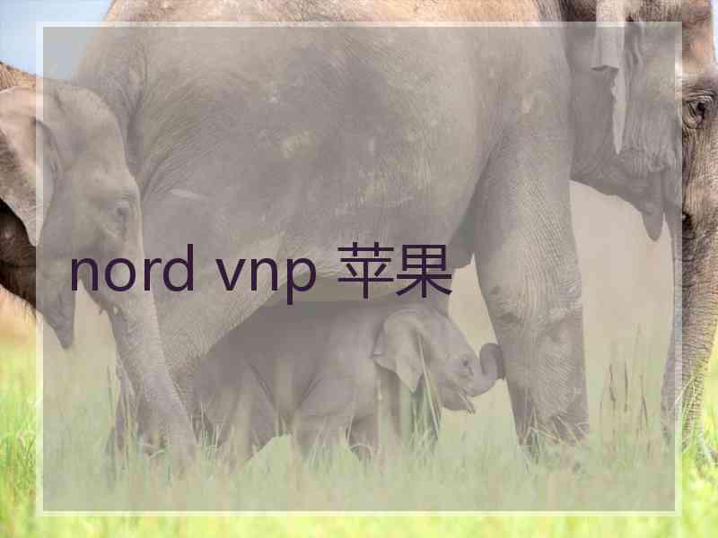 nord vnp 苹果